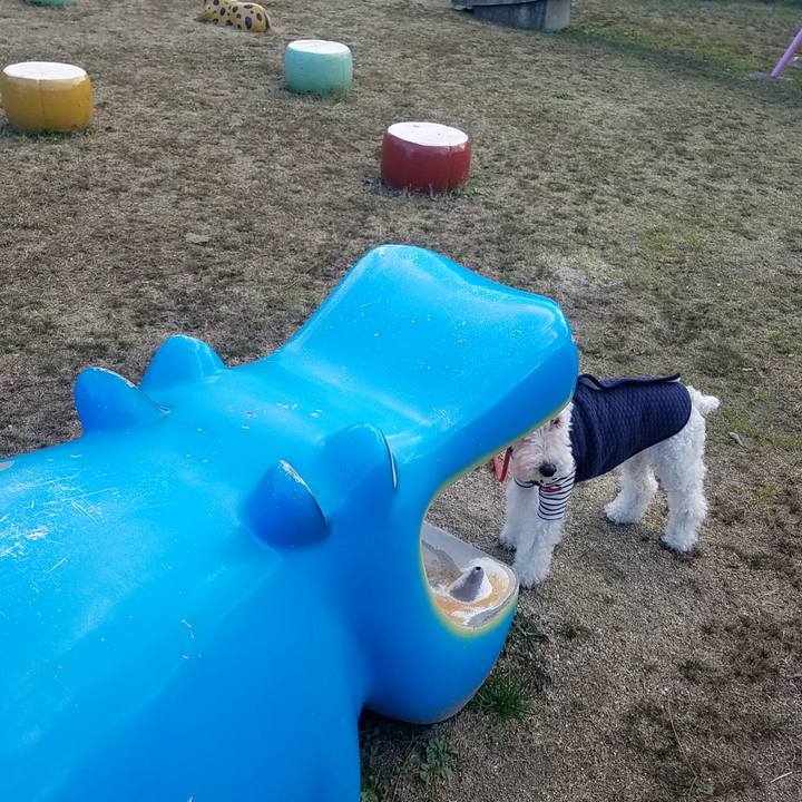 2ac90921 a090 4c63 8e0c 08e4d74bd107 1580651688892