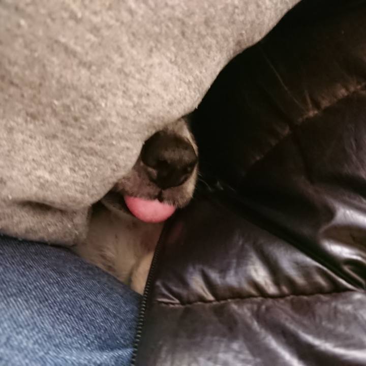 2ac91398 b593 446b 9552 d6710260593c 1581172447771