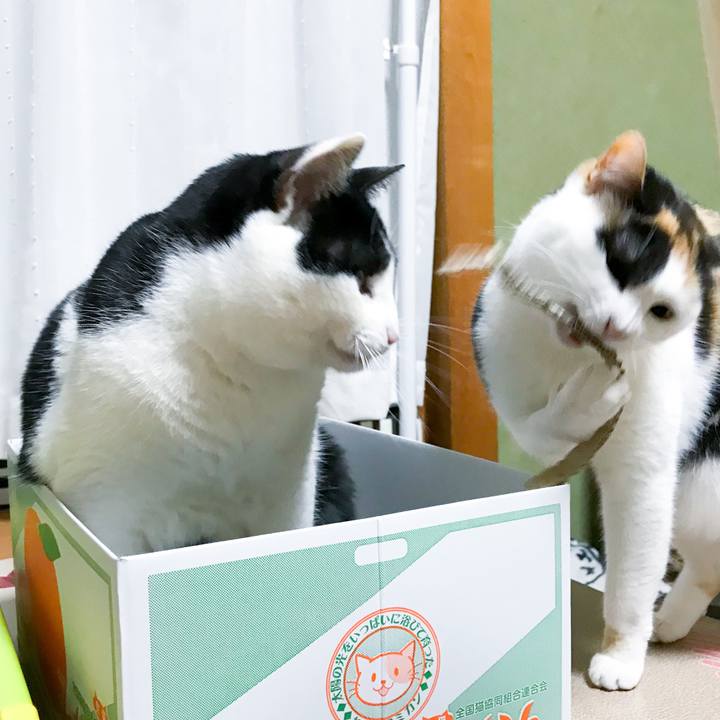 2ac9193c 2c1c 4b95 8c4a 07a763ee632c 1515579461627