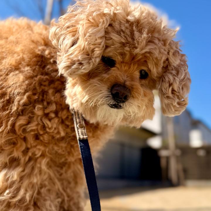 2ac925b8 1bca 4f31 a265 6ec93e981d8b 1772676545142