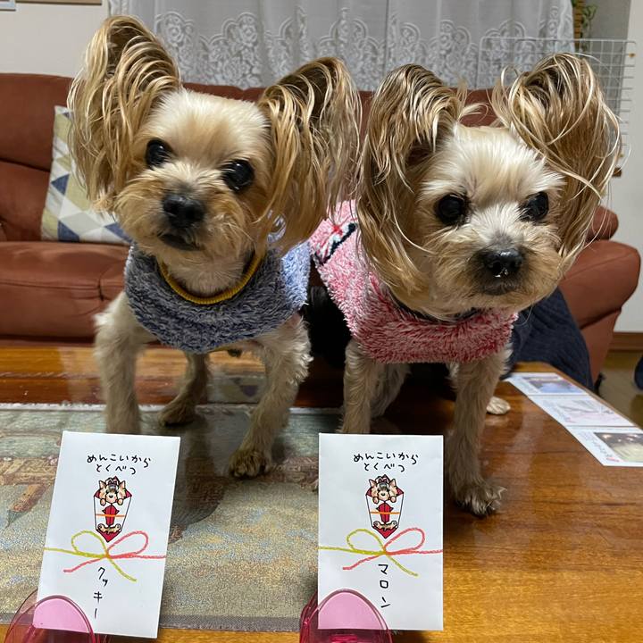 2ac93774 de13 444e 9f73 b3c06fd61ab0 1641201969035