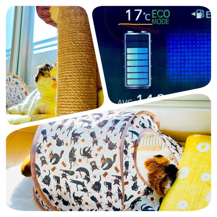 2ac93dcf 06ad 4988 85b2 350078d0fb0d 1712465838697