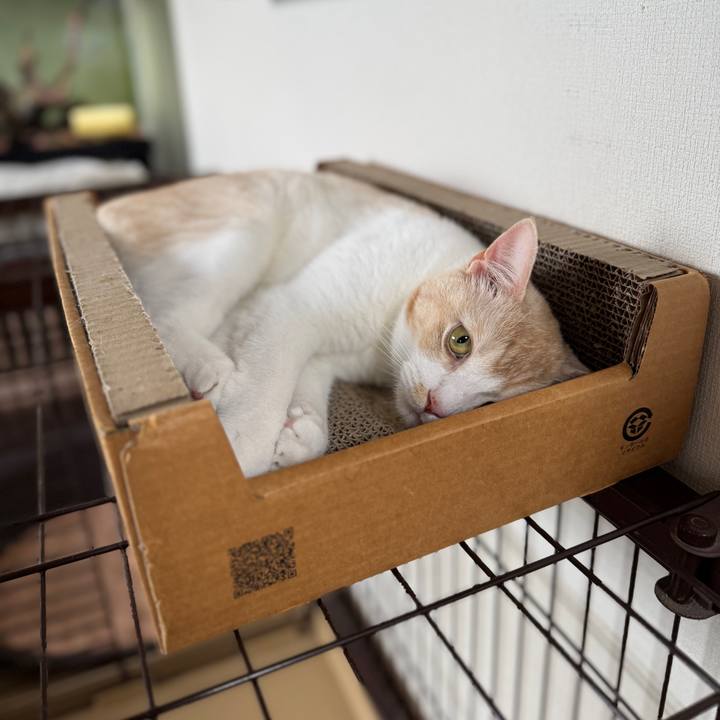 2ac978a2 937c 47b0 ac04 451e5554bc80 1754874669489