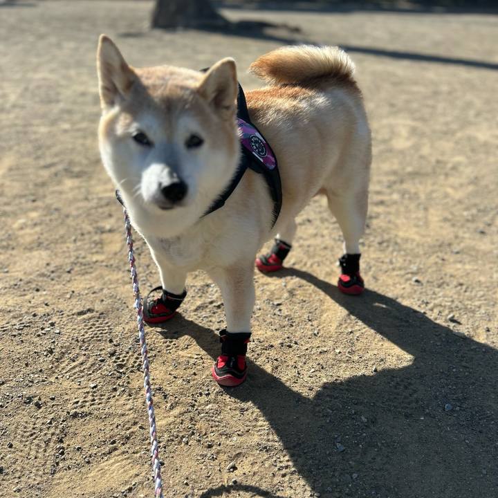 2ac9acf3 86f4 400a bff4 239b7273e485 1734755757926