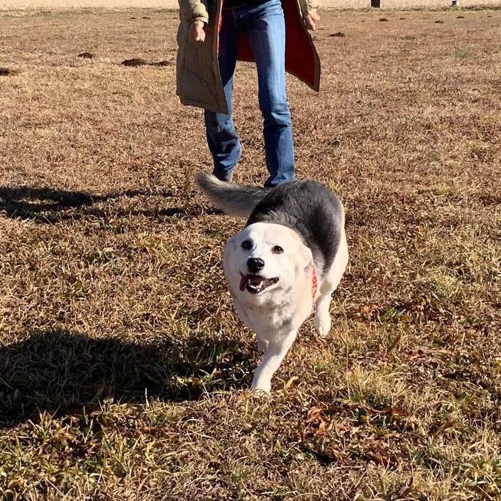 2aca0075 51f6 4770 be57 0cd2bf5d1fae 1642033103482