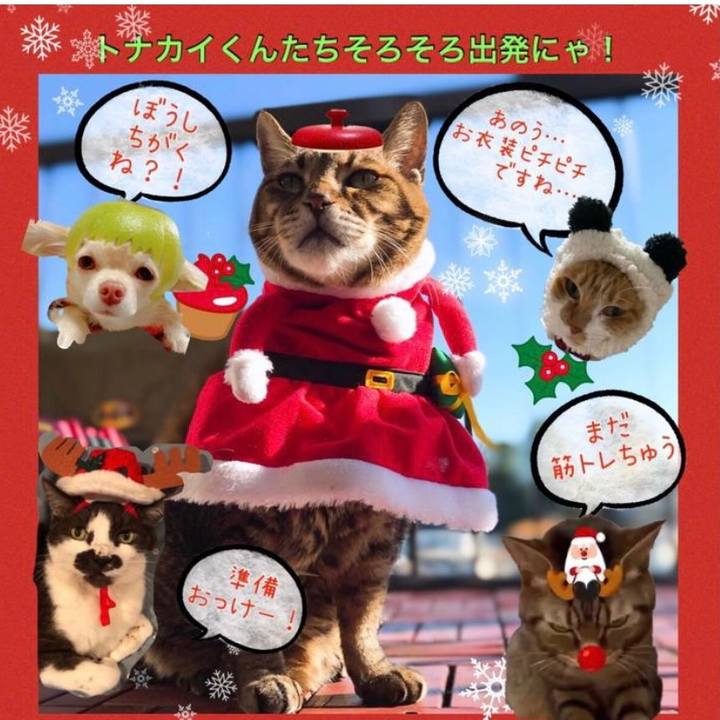 2aca029a 5789 4ac4 9108 20877e2f1e94 1640416363498