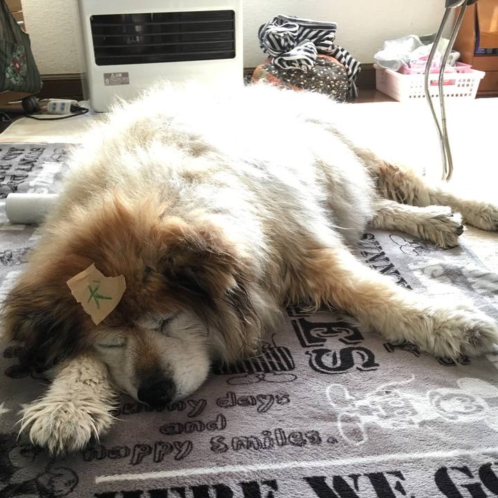 2aca2fb4 68c2 4697 9558 4523efb5d3a8 1574097891440