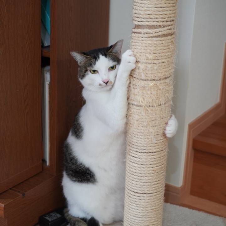 2acaa8c1 d805 4f77 ac22 8184b2d7b809 1628254899184