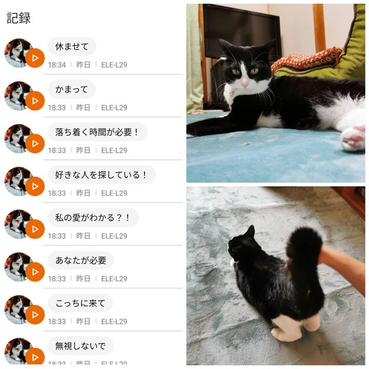 2acabe11 bda5 4624 a534 44200b8e1c23 1633578114268