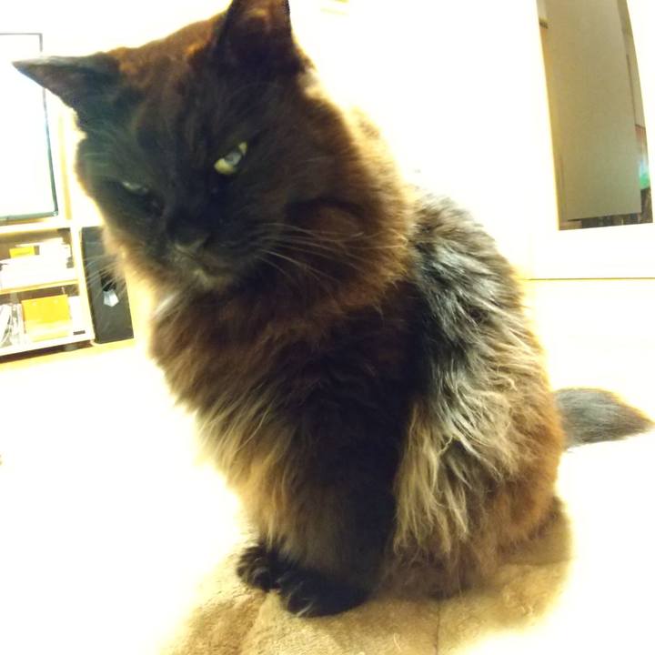 2acb20d5 0ebf 49d9 a8b8 15b40c072726 1646395558117