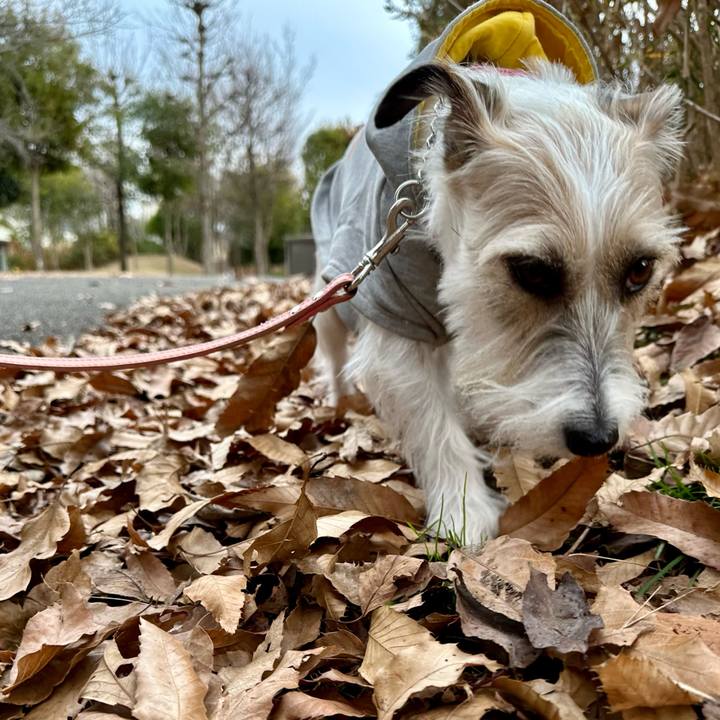 2acb26d0 8373 43c8 9b15 083530996a94 1704294296674