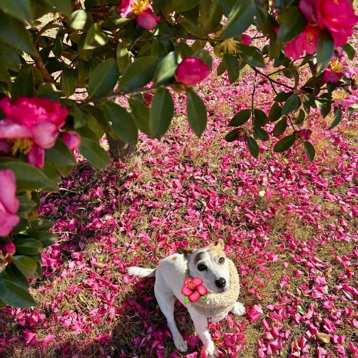 2acb45d3 1224 466d 91b8 9109f3043ba1 1768135521910