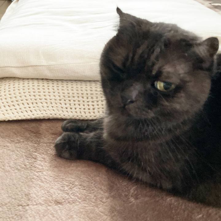 2acb51b7 45aa 43b4 82c7 52a8d4b47a72 1596183151555