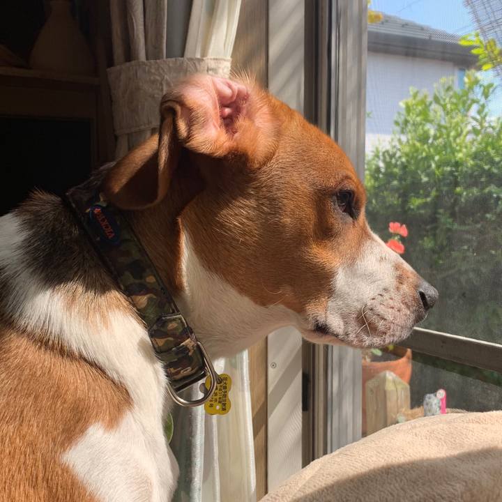 2acb77fc 1d4d 4907 a0e5 283e106e37dc 1555736390039