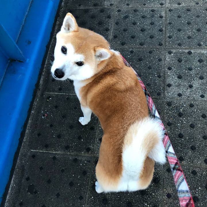 2acb9962 9286 48e4 b0fd e10adc43d5ba 1609198118810