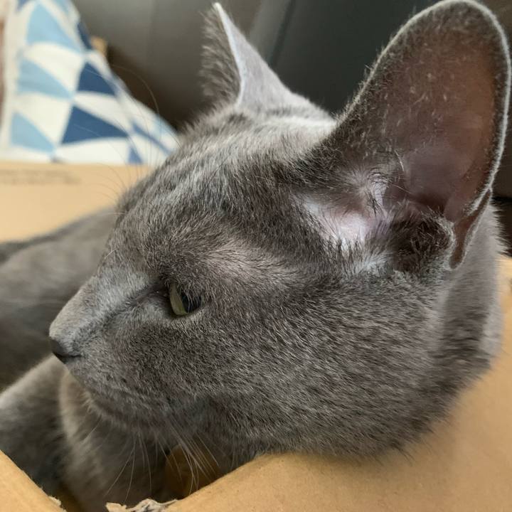 2acbf034 fbdc 48df a79f d6161f886a58 1622781218293