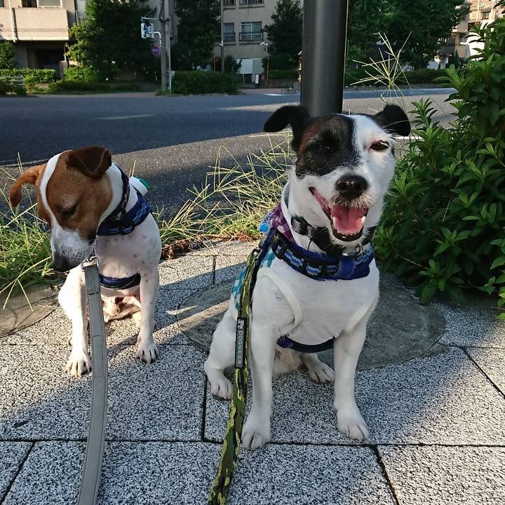 2acbf8fa e2f9 44d4 86ce fb4b43e809cf 1535665005701