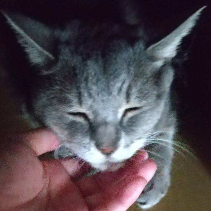 2acc035d c122 4d69 bb0a 8e6e265c0cf7 1663218618251