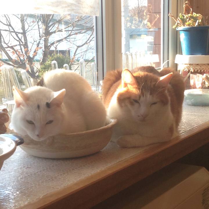 2acc0b1e 12f3 46e1 b6ff 692d4554cd41 1512257119459