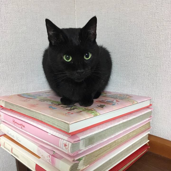 2acc1027 6cba 46e1 b457 d98d2f977eb5 1564209076722