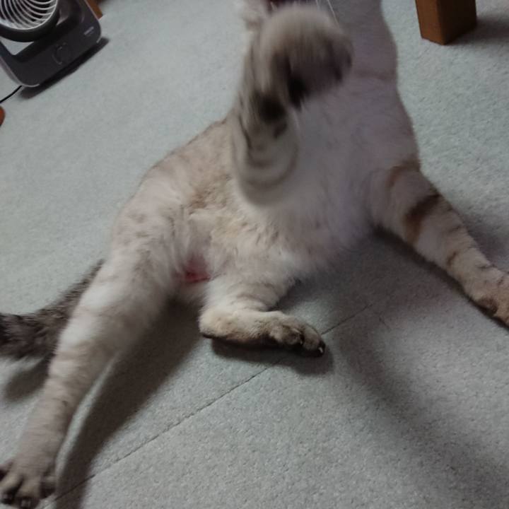 2acc2e3d 4175 4978 879e 562f846c824d 1561560226662