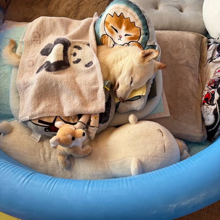 2acc3a8c 8173 4b67 99df 964a8ec8d8dc 1705448055265