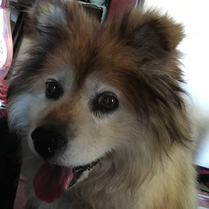 2acc4f74 7331 4ec9 a4b3 aa6d080b2535 1580101910168