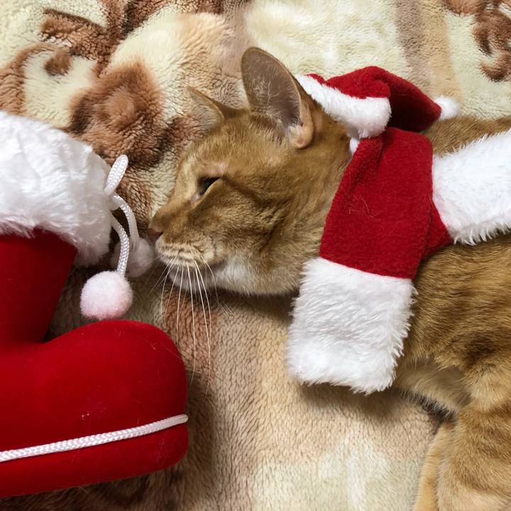 2acc6f7c a56c 47dc 9cae 6dde1c10f0b5 1640342878932