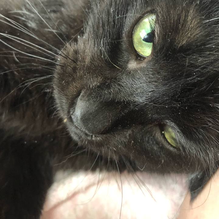 2acccf88 3df9 4c54 9619 e622a2b1983a 1579915029088