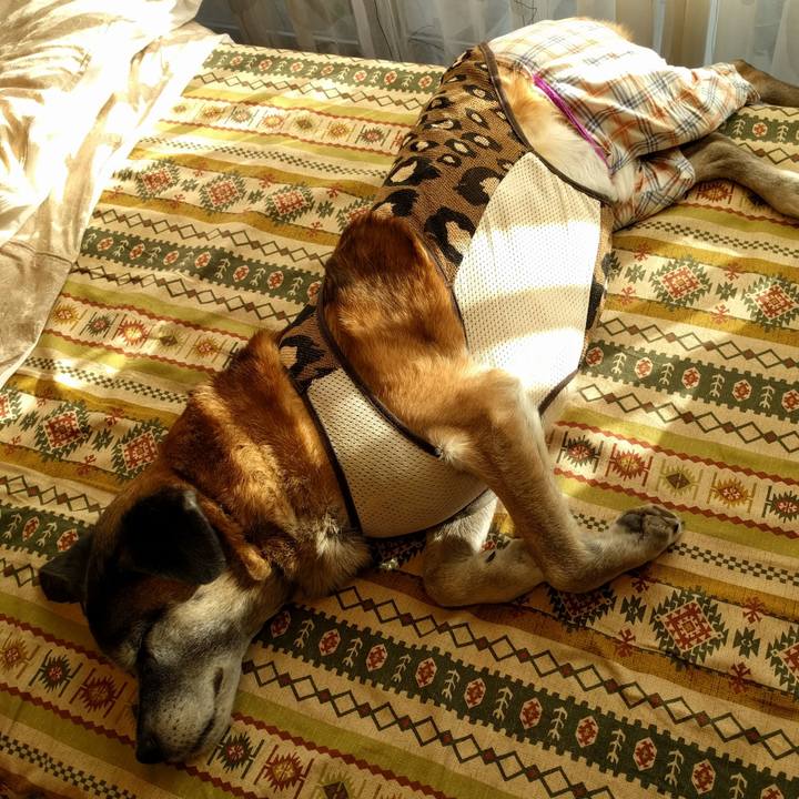 2accf244 fab7 4981 860d ce654bcc74f2 1515649217324