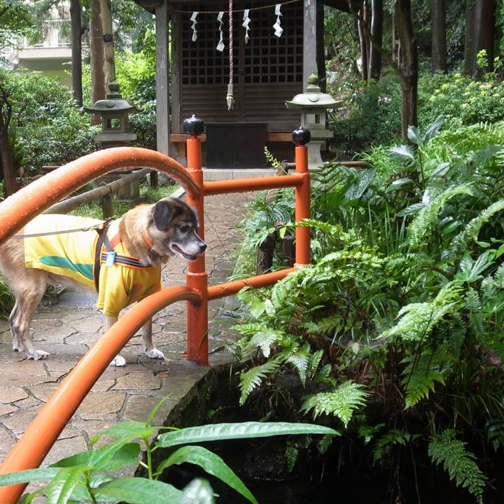 2accfa1e c91c 4bf3 b52a 465ad802b354 1589329614848