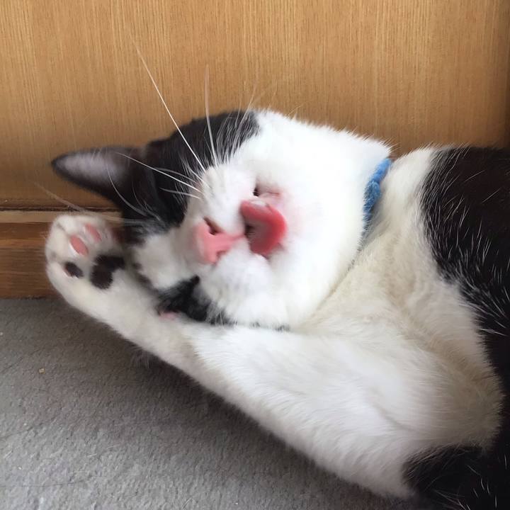 2acd169a 1a43 43d1 ae5b 660480febdac 1658915988647