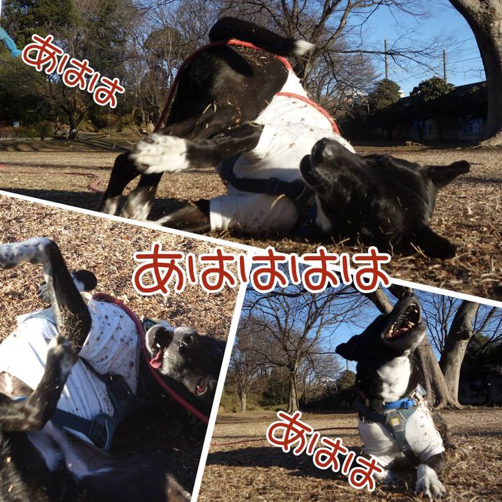 2acd6df1 c43b 4ebb b17a 574cc7076f85 1706319083367