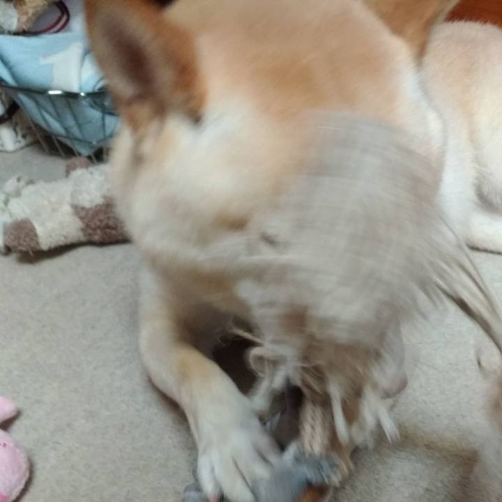 2ace110e 76cd 4e23 8098 dc3cb7e8dd63 1566042759208