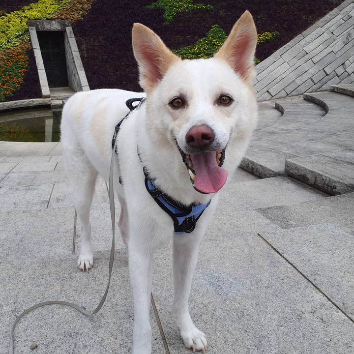 2ace2657 9304 480a ab8c 2701586019d2 1662870358953