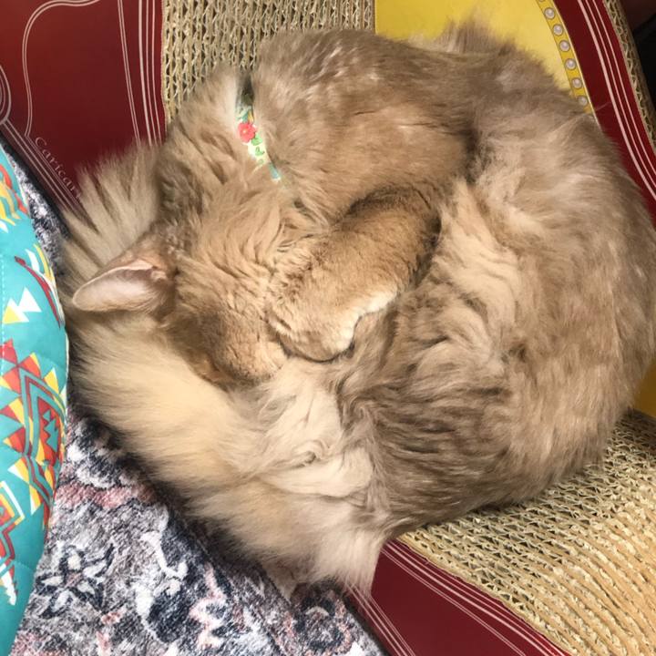 2ace2855 3c90 4007 ba1c 566f9af47d61 1681363910480