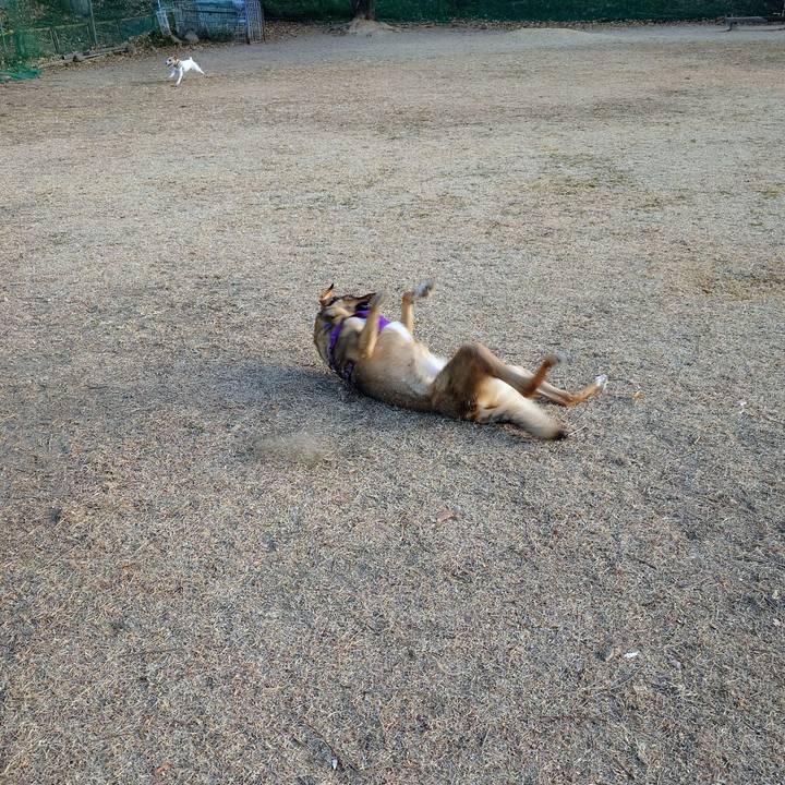 2ace3555 cbb1 48f7 8312 3ed8e5311c24 1766280301642