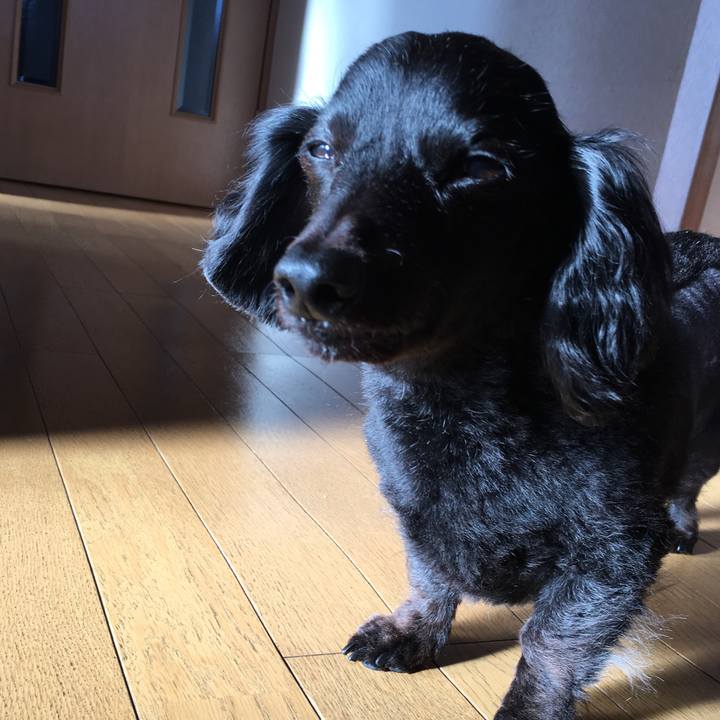 2ace3cd0 e3ad 4225 96b1 da7a22dfa50c 1515105485351