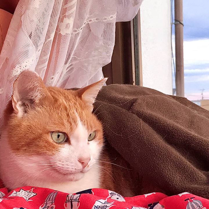 2ace7cad 36a7 4e7d 9735 3131019bd9f4 1578971212205