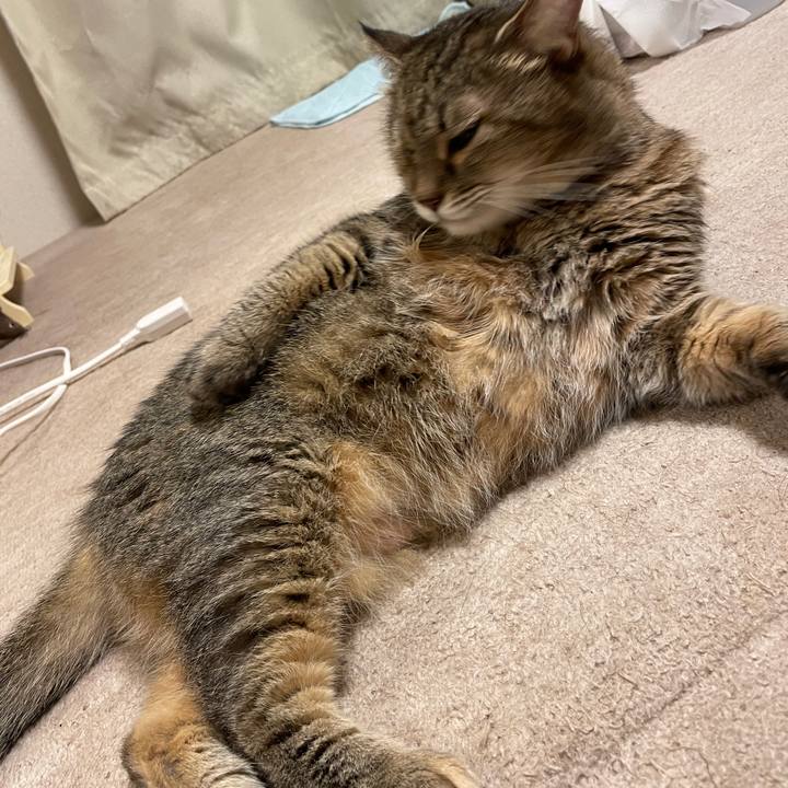 2aceb889 86fe 4714 a859 a4ccfba5ad2e 1755816401073