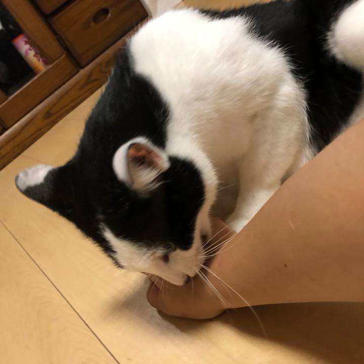 2aceff7b acb2 4ba6 b5e8 5a4cb03ebd55 1565354747892