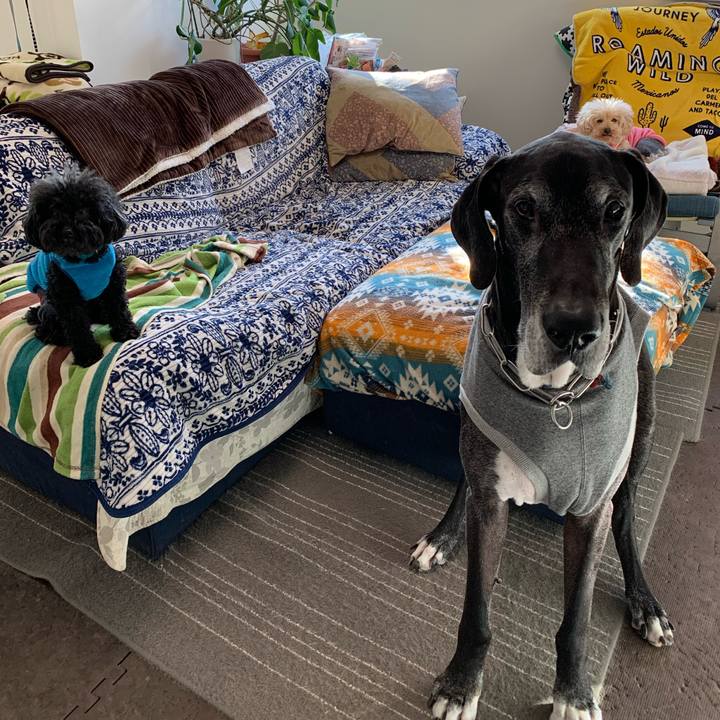 2acf3e61 b652 446e acc1 6e5571b09baa 1583707006639