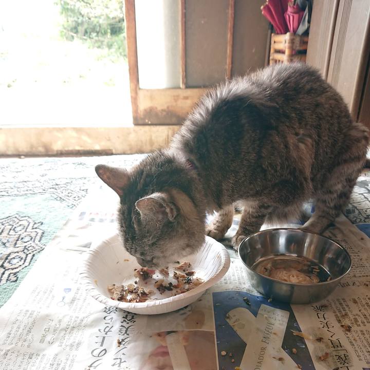 2acf46c5 29b8 4630 b44c b2ec0c361753 1598233279501