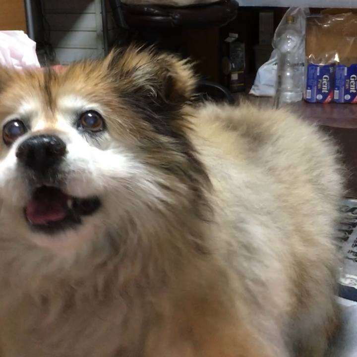 2acf746a 15a4 45eb afed b6ac98b09de1 1589958412724