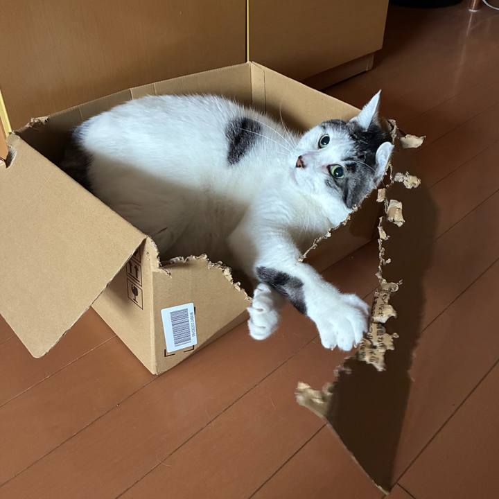 2acfa5a7 2eac 4e29 8ecd 2f26eabfb0cc 1772664864027