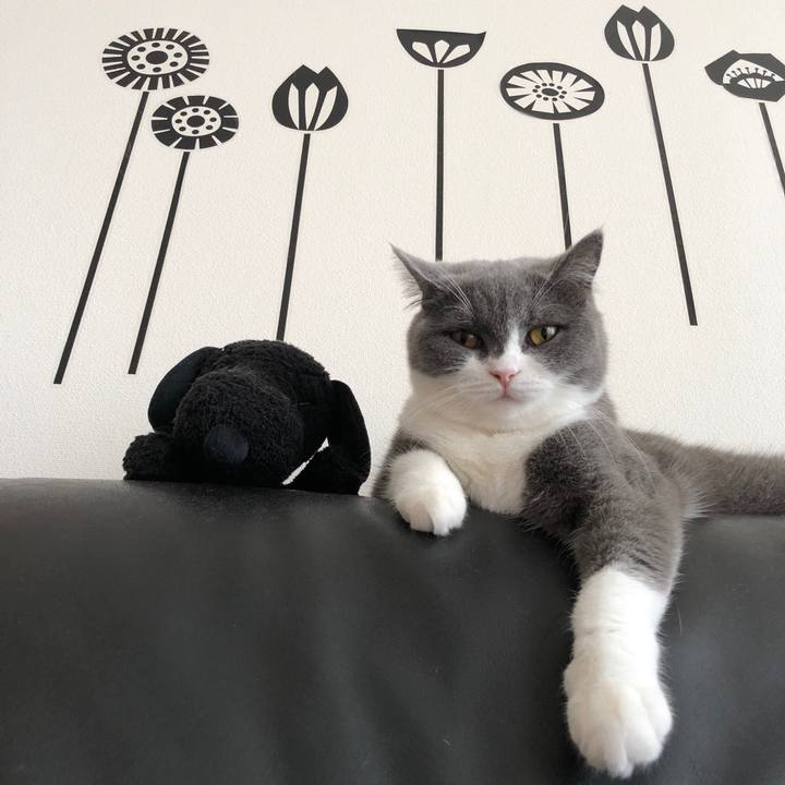 2acfb36e 4e43 4bd7 9048 069d2fc0d986 1538185550776