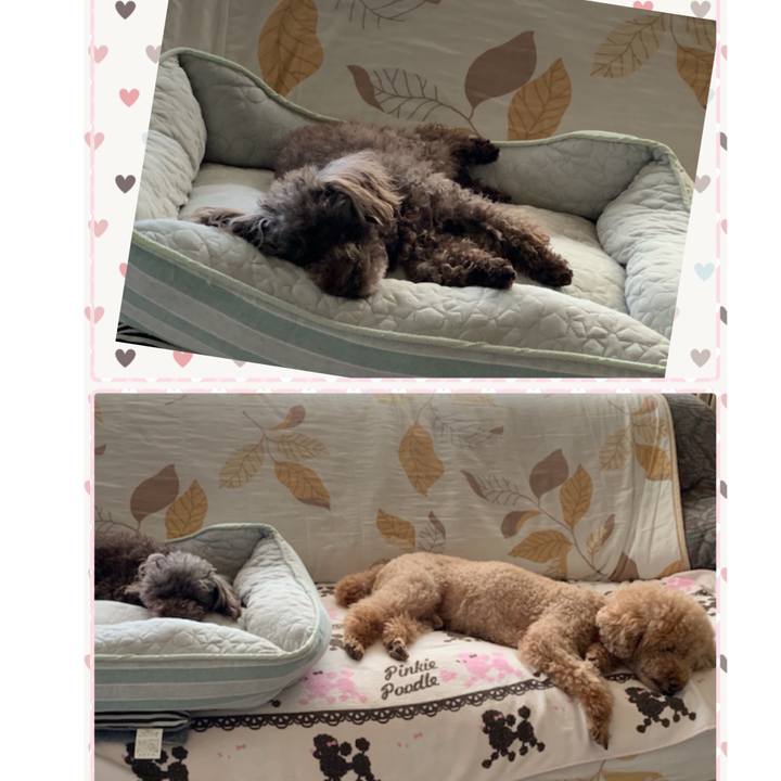 2acfbd1b aa2a 4991 a8b6 0789aaa2b525 1566028688962