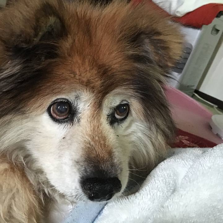 2acfd705 14a7 4d24 96b2 19fa298e5198 1589184748778