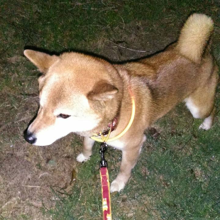 2ad02da3 5f9e 424b 9665 ac0badb4c4c6 1523102032562