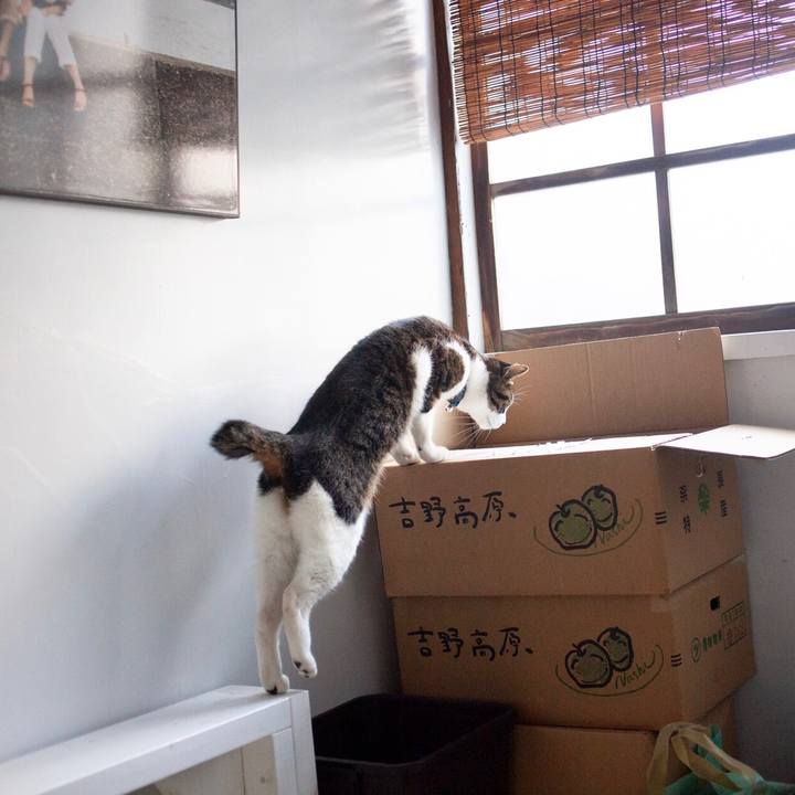 2ad05184 6fa6 48ea 9d24 5f7b66801638 1580441164190